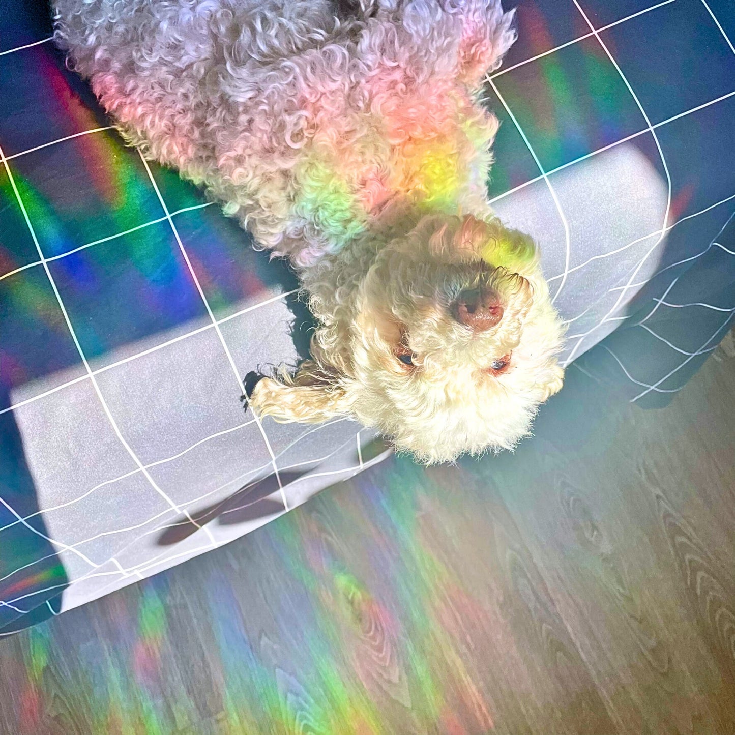 Mountain Sunset Suncatcher