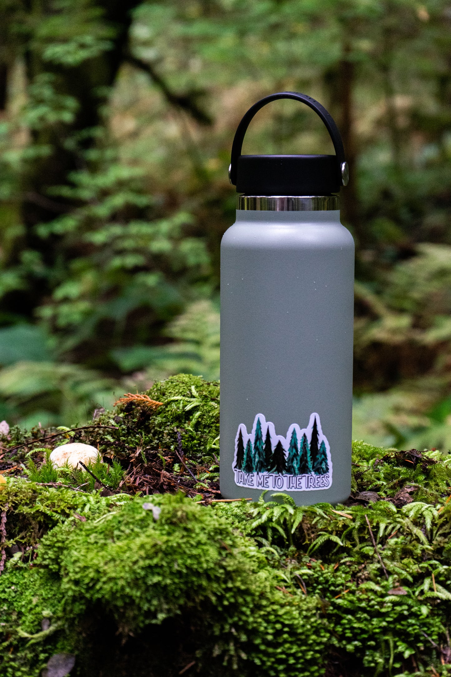 Take Me To The Trees Sticker