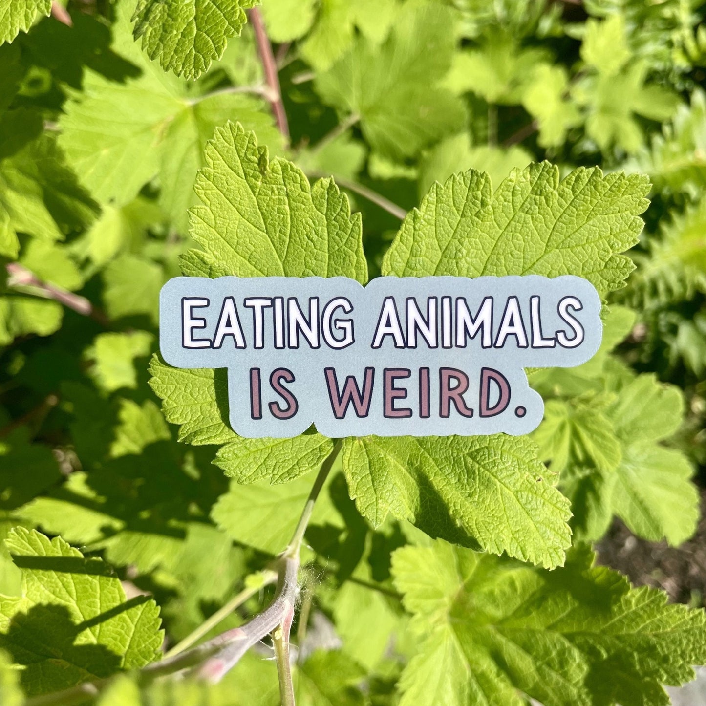 Eating Animals Is Weird Vegan or Vegetarian Sticker Gifts, Animal Rights and Animal Activism Sticker, Friends Not Food, Animal Liberation