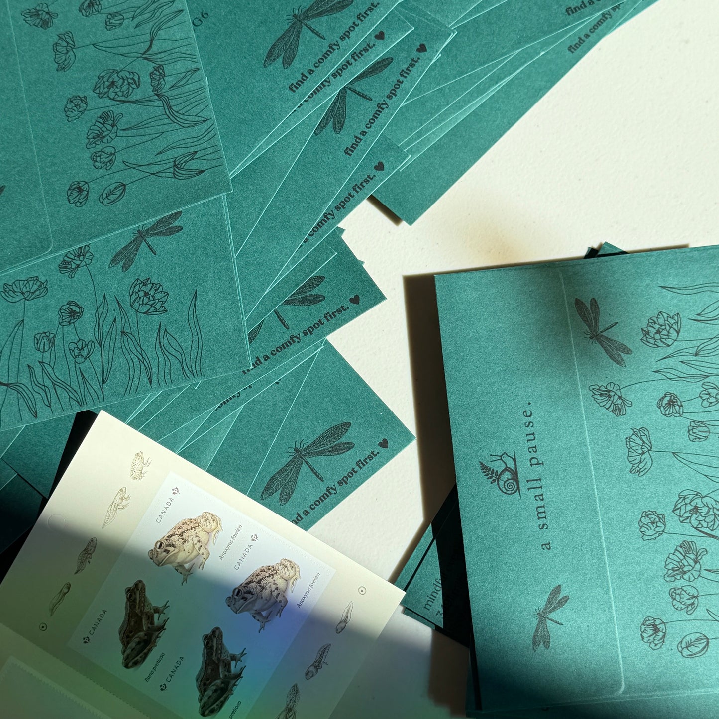 A Small Pause - Monthly Snail Mail Club