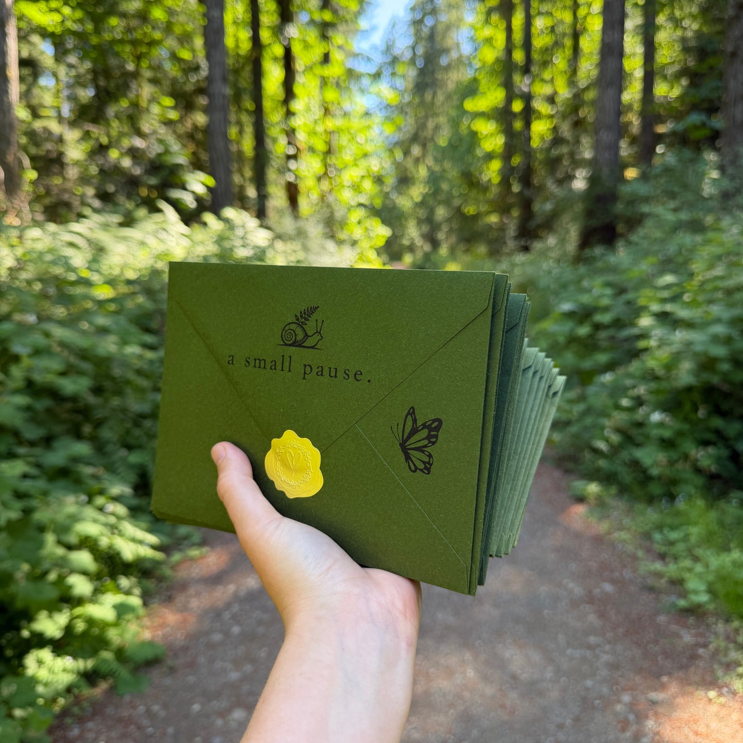 A Small Pause - Monthly Snail Mail Club
