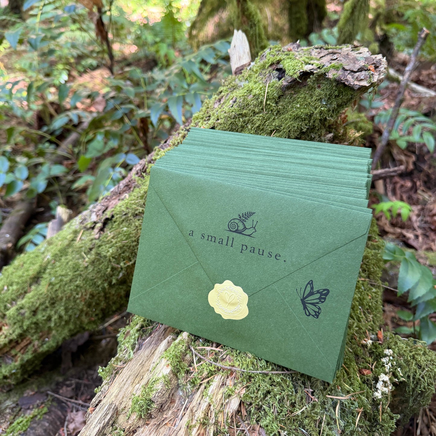 A Small Pause - Monthly Snail Mail Club