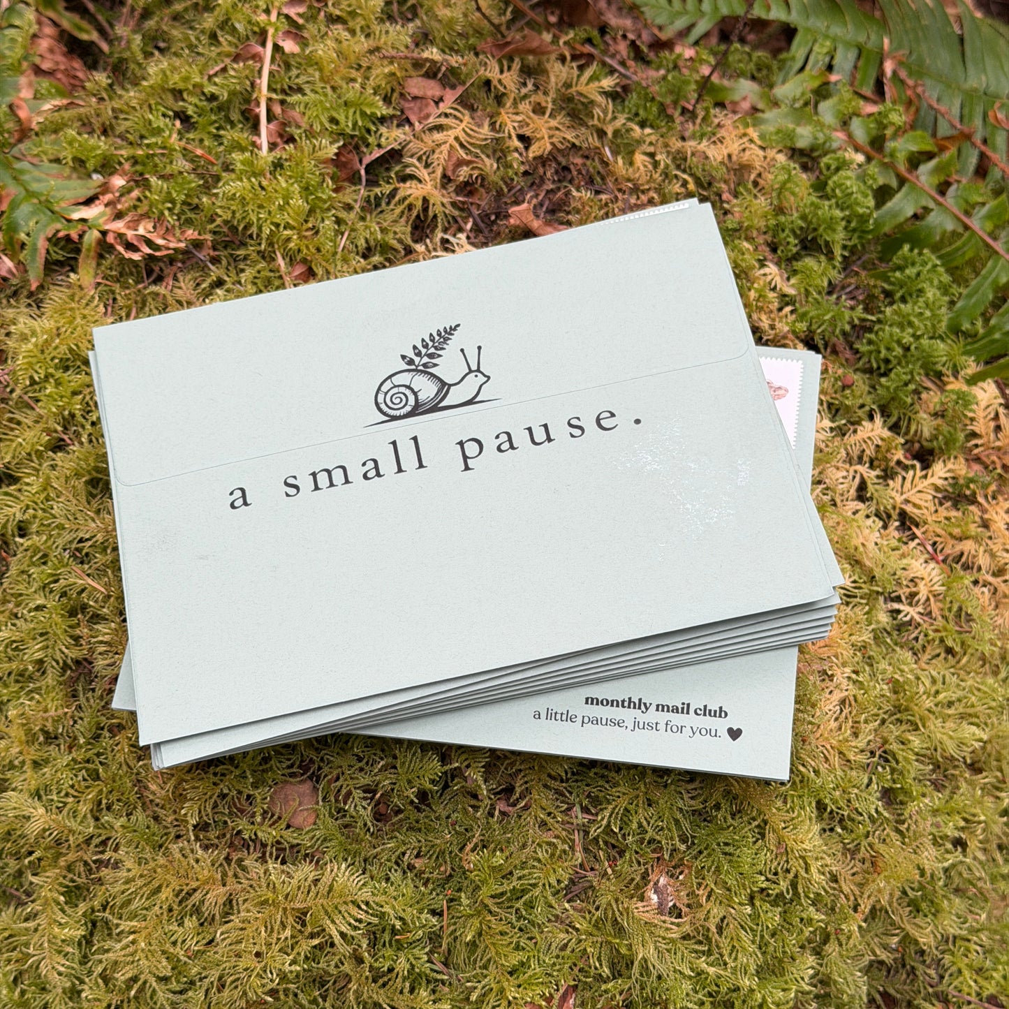 A Small Pause - Monthly Snail Mail Club