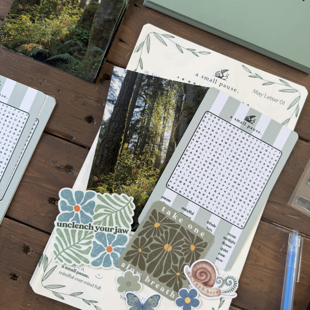 A Small Pause - Monthly Snail Mail Club