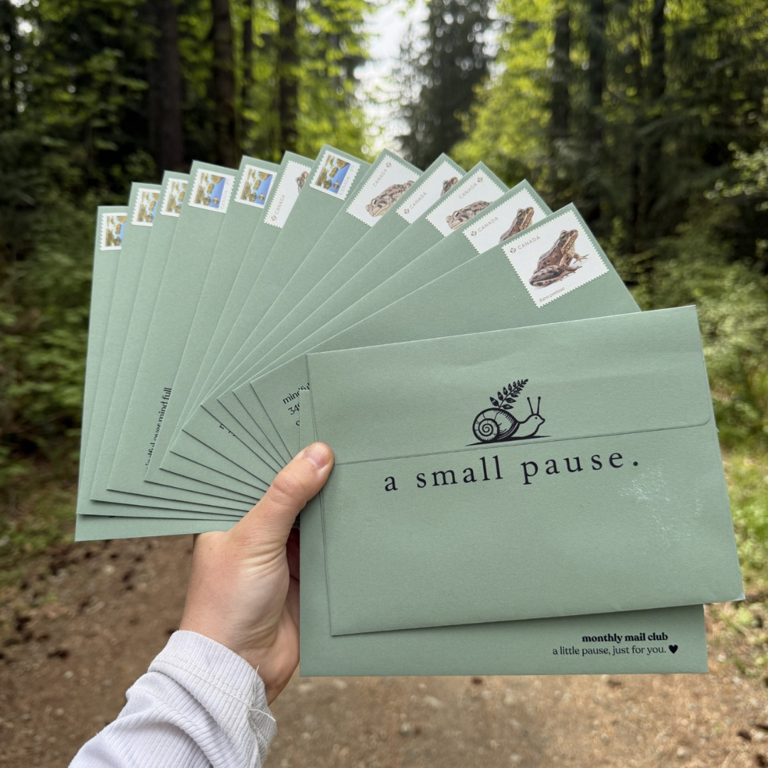 A Small Pause - Monthly Snail Mail Club