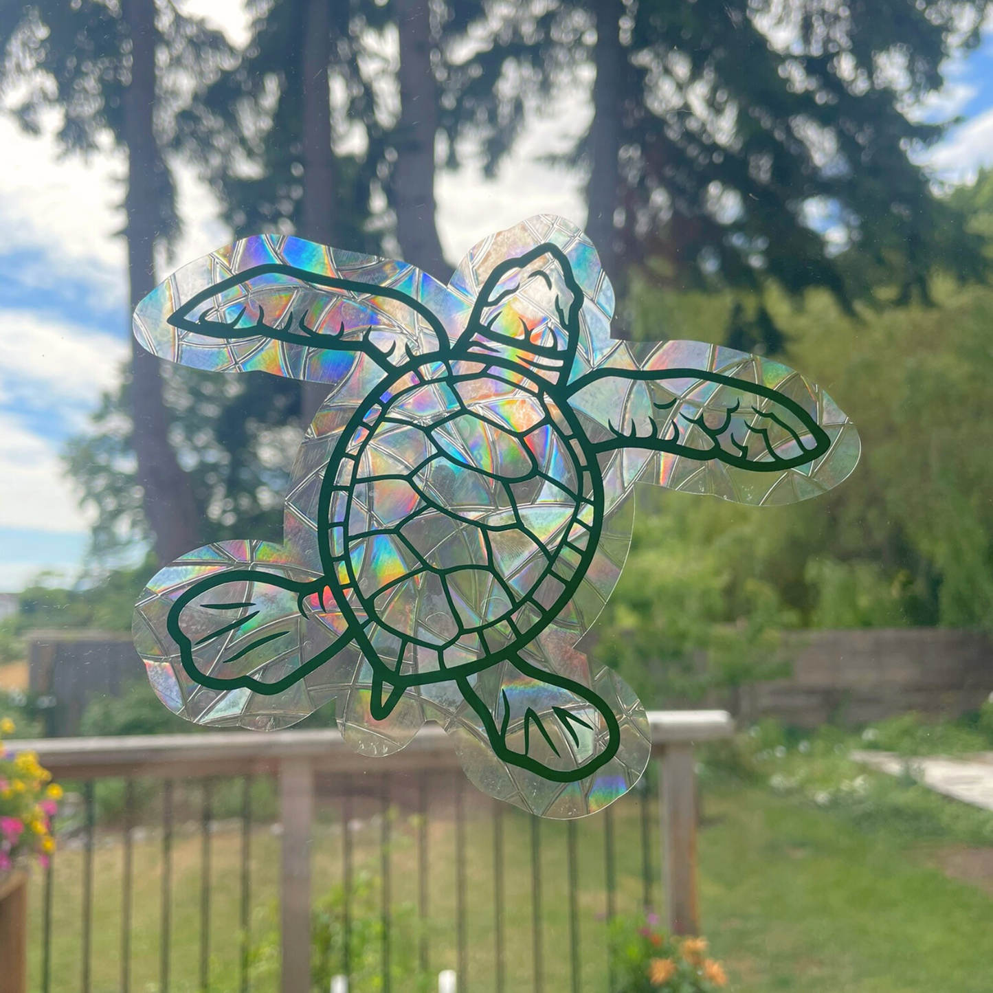 Turtle Suncatcher Sticker