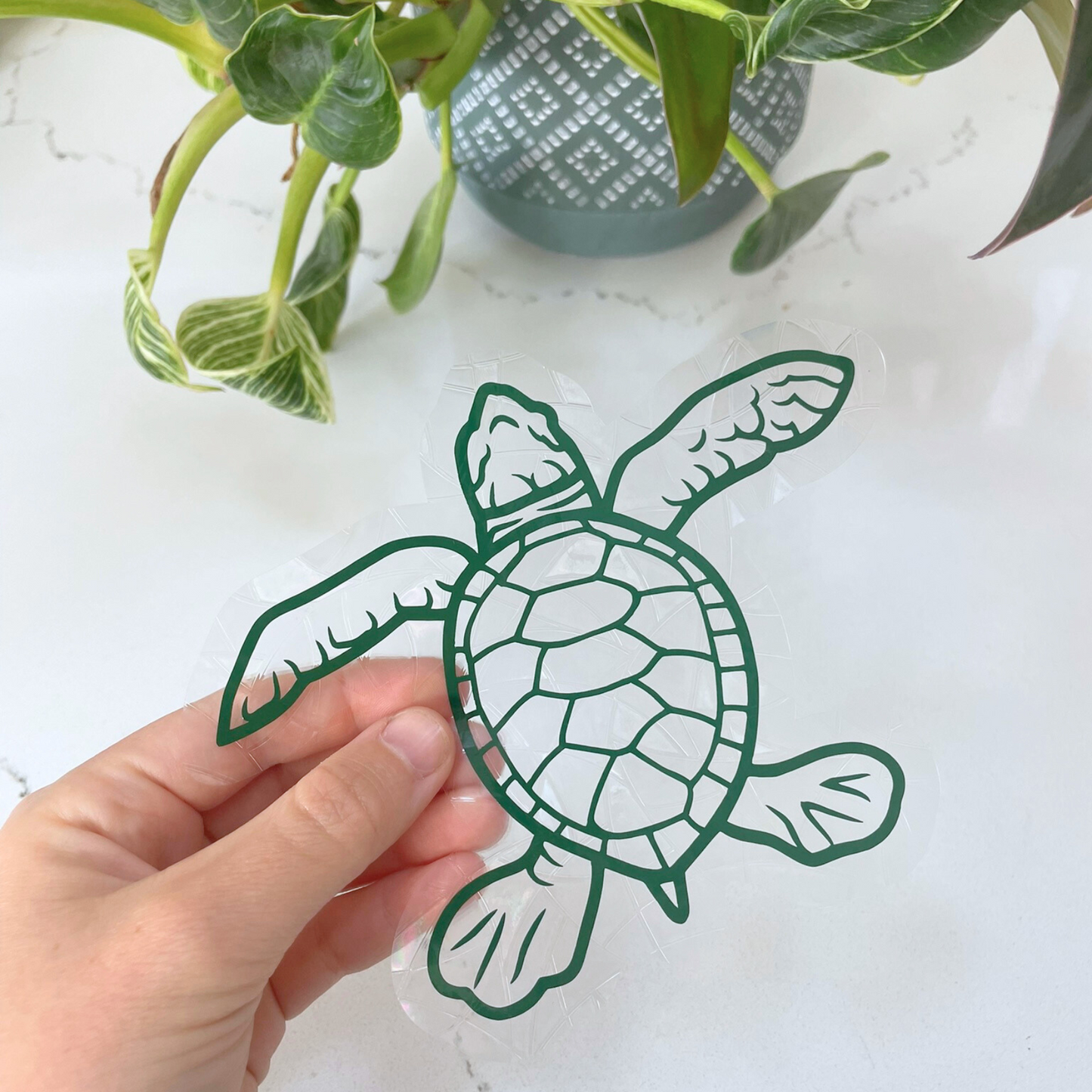 Turtle Suncatcher Sticker
