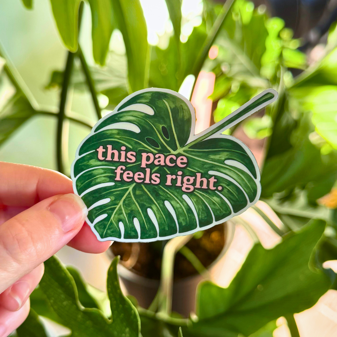 This Pace Feels Right Monstera Sticker