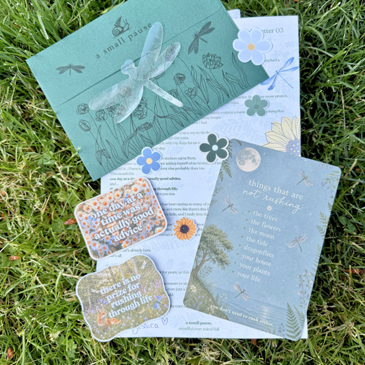 A Small Pause - Monthly Snail Mail Club