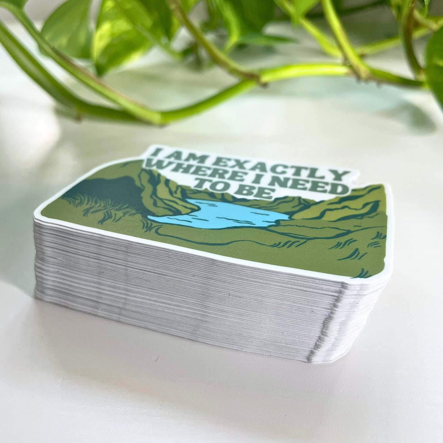 Mental Health Reminder Sticker | I am Exactly Where I Need to be