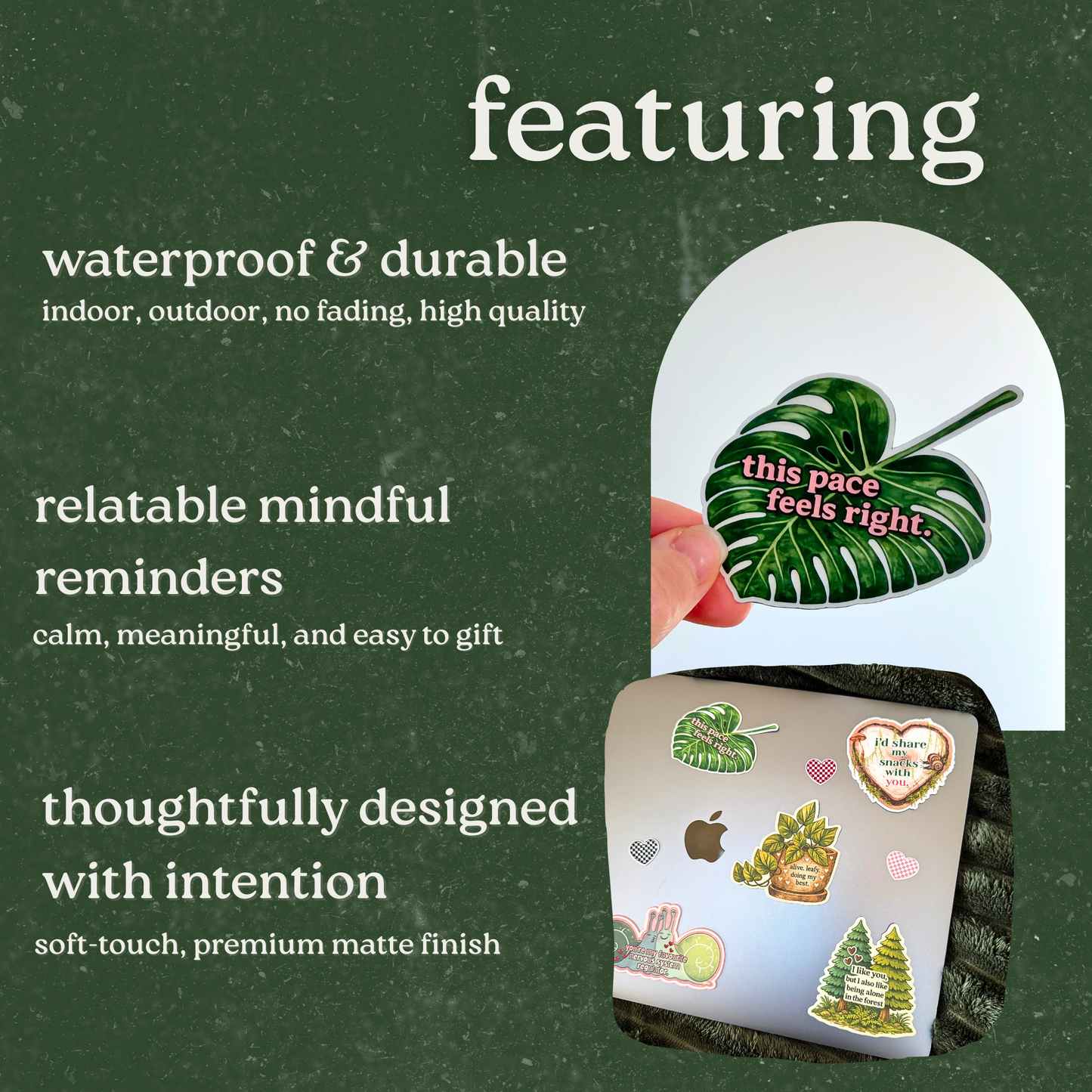 This Pace Feels Right Monstera Sticker