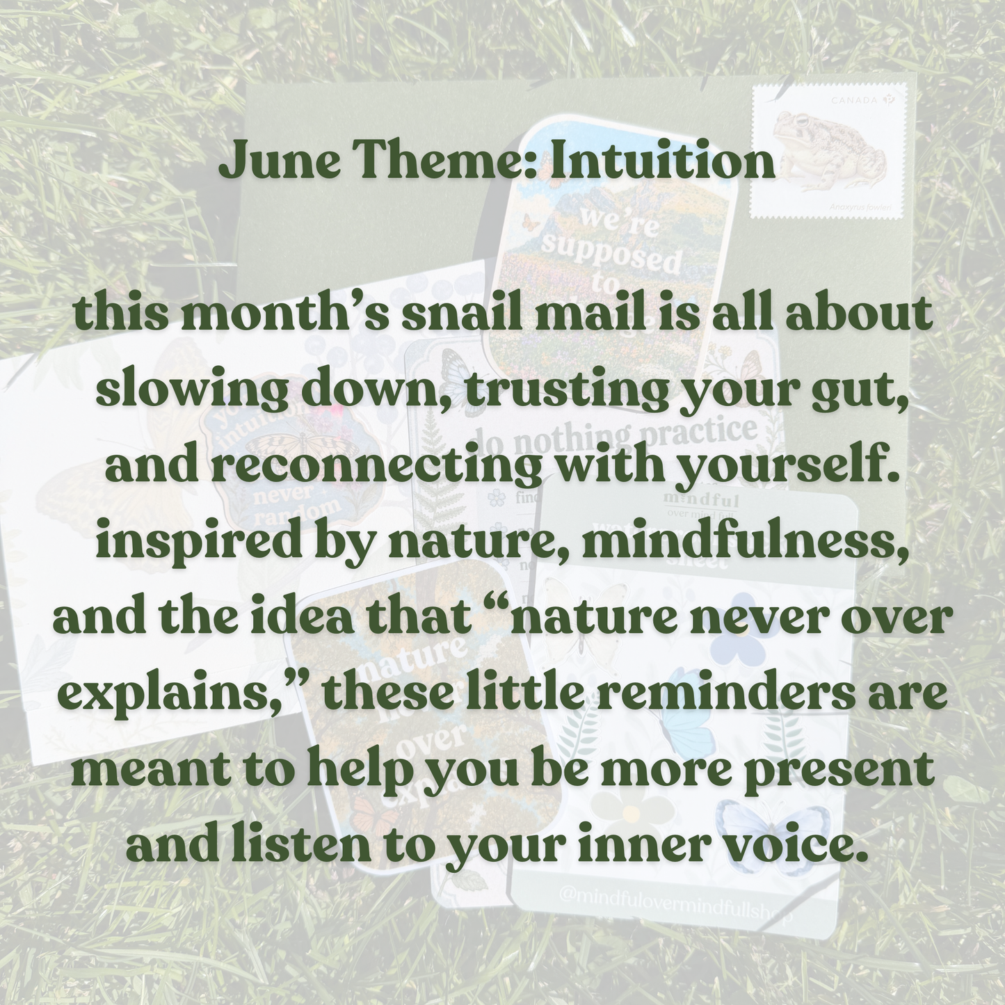 A Small Pause - Monthly Snail Mail Club