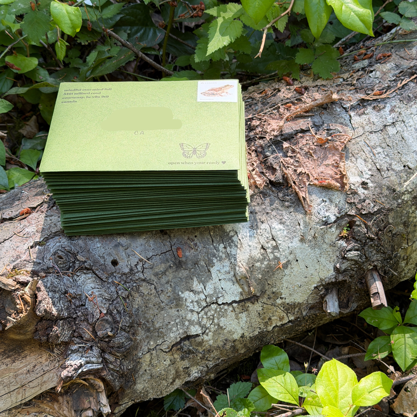 A Small Pause - Monthly Snail Mail Club